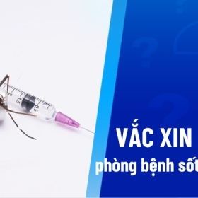 Vắc xin Qdenga (ngừa sốt Xuất huyết): Tác dụng, chỉ định, liều dùng và lịch tiêm